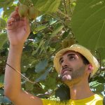 Bellosguardo. Rigenerare il paesaggio attraverso lo sport